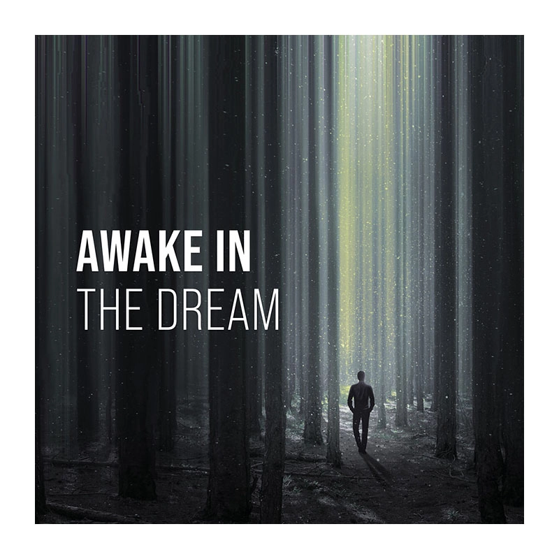 Awakein-the-Dream- surreal horror-fantasy short poster