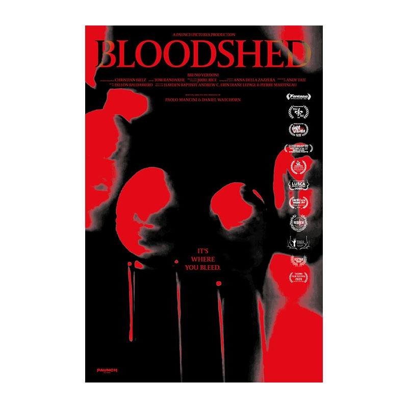 Bloodshed domestic slasher short film poster