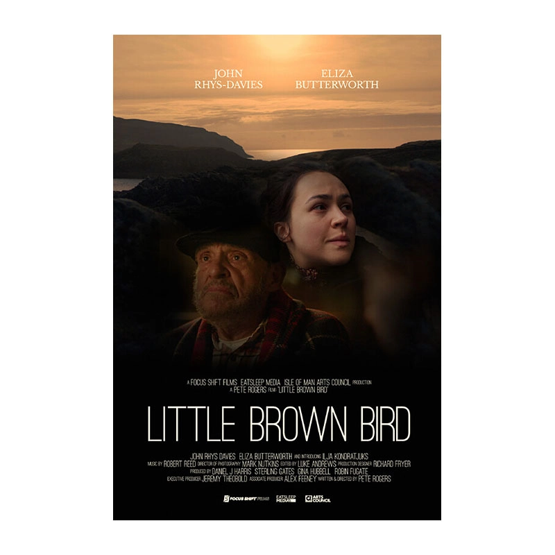 Little-Brown-Bird grief-driven domestic drama with horror undertones