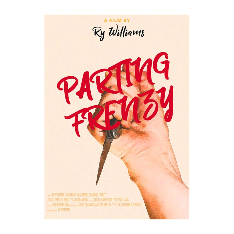 Parting Frenzy frantic horror breakup film artwork