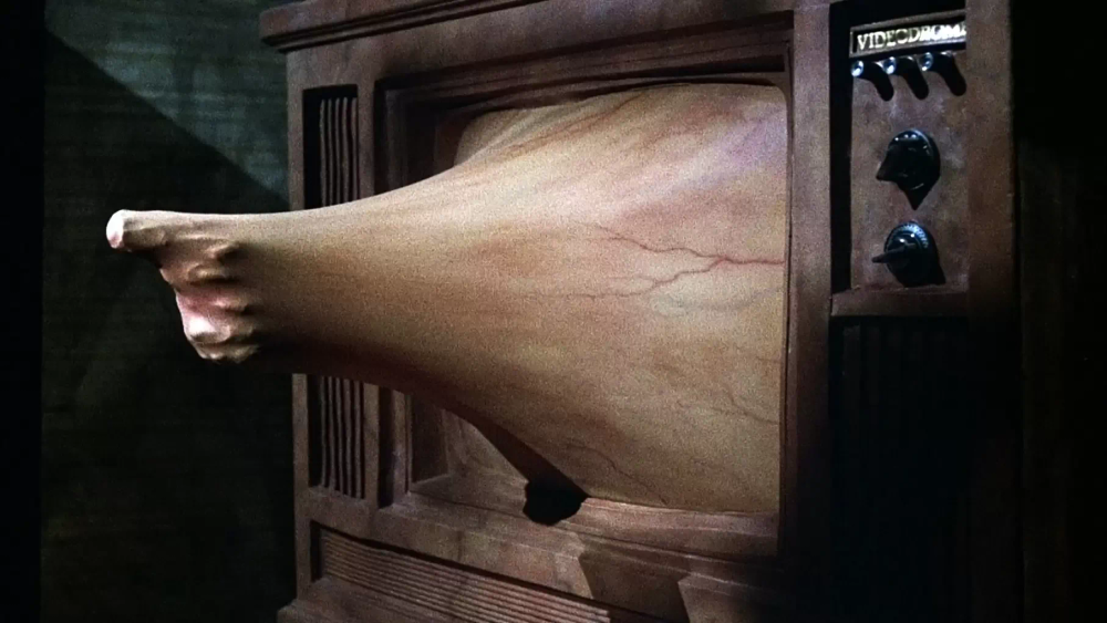 videodrome_-_3.jpg_2023_01.webp