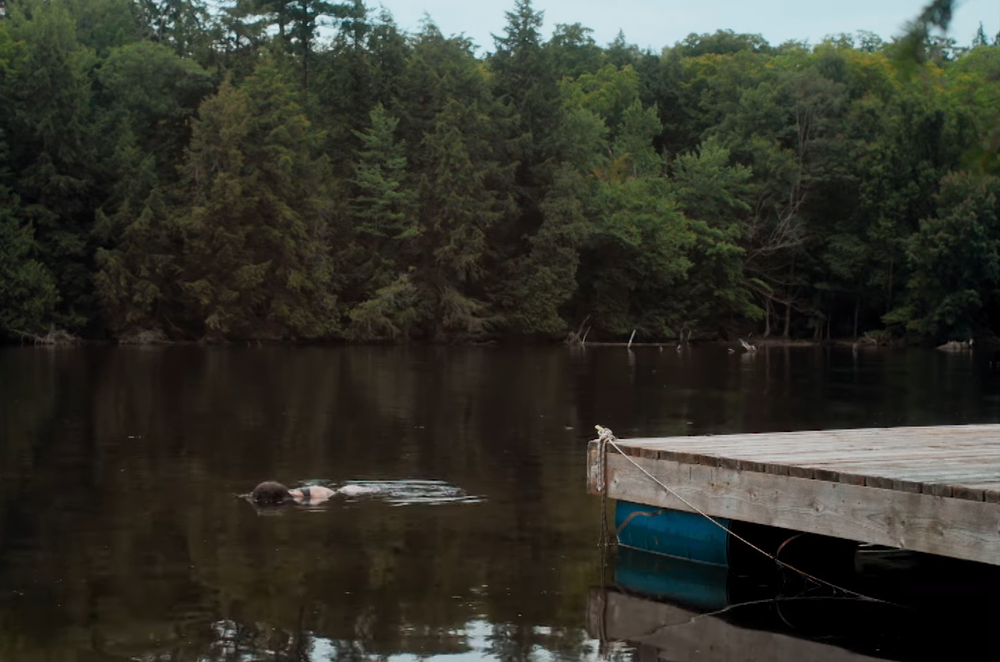 violent-nature-teaser_2024_07.png