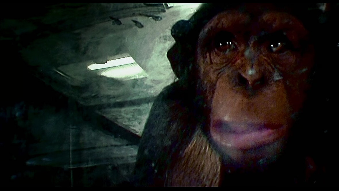 28 Days Later Film Still