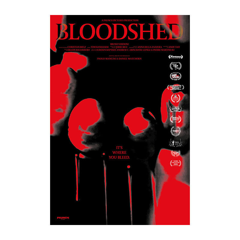 Bloodshed domestic slasher short film poster
