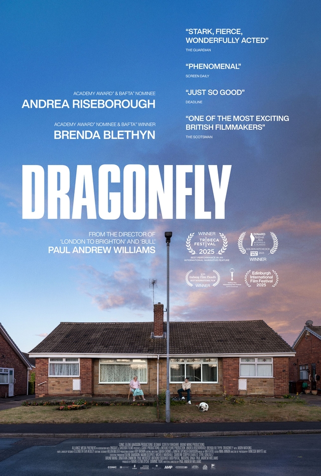 Dragonfly-film poster 