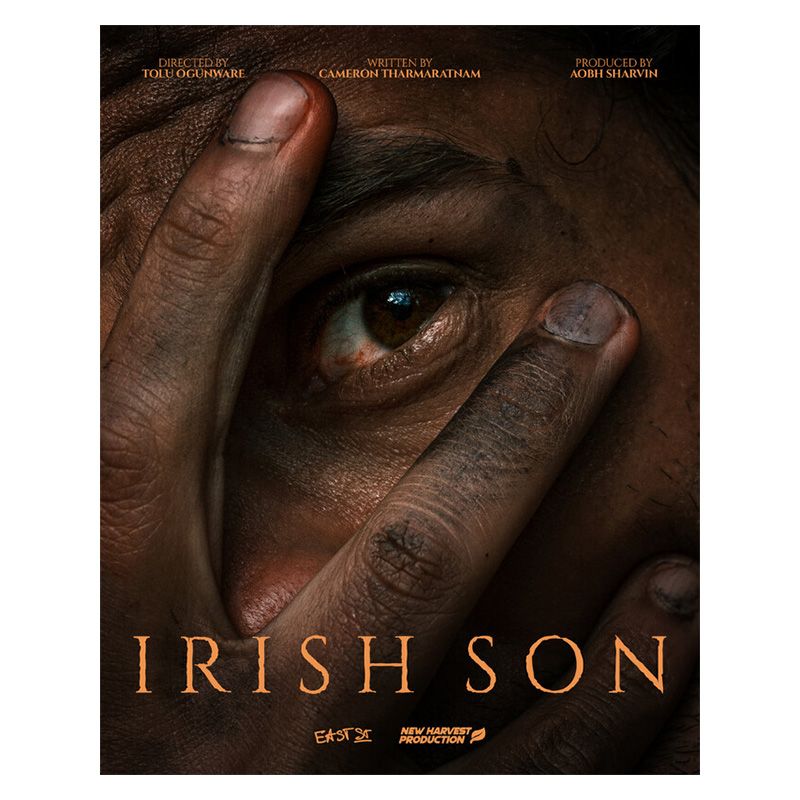 Irish-son.  Festival-Selected Horror in Short Form  