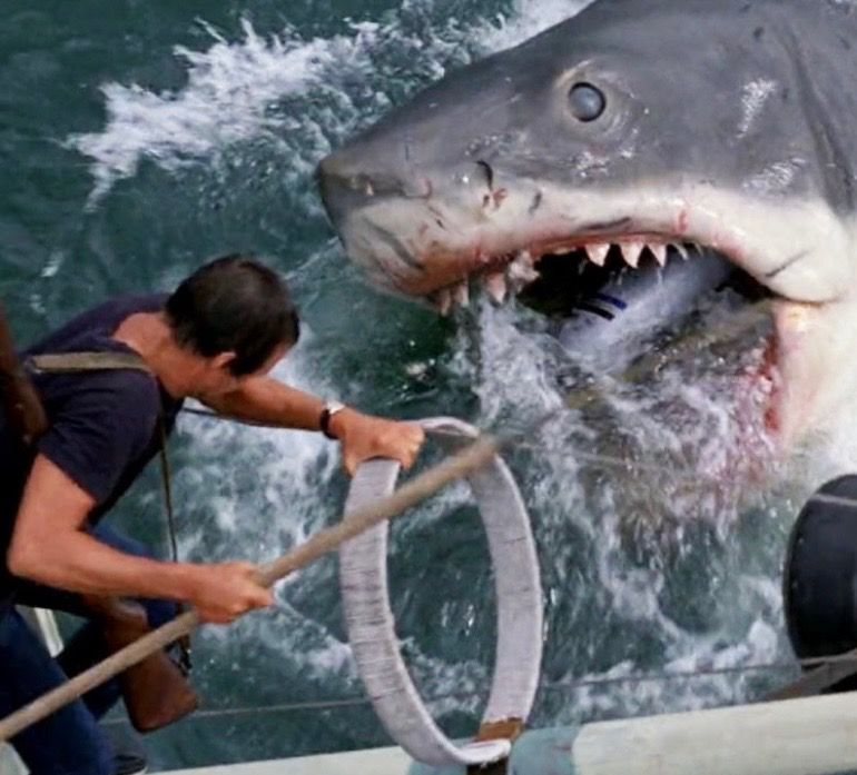 Jaws film still 1 