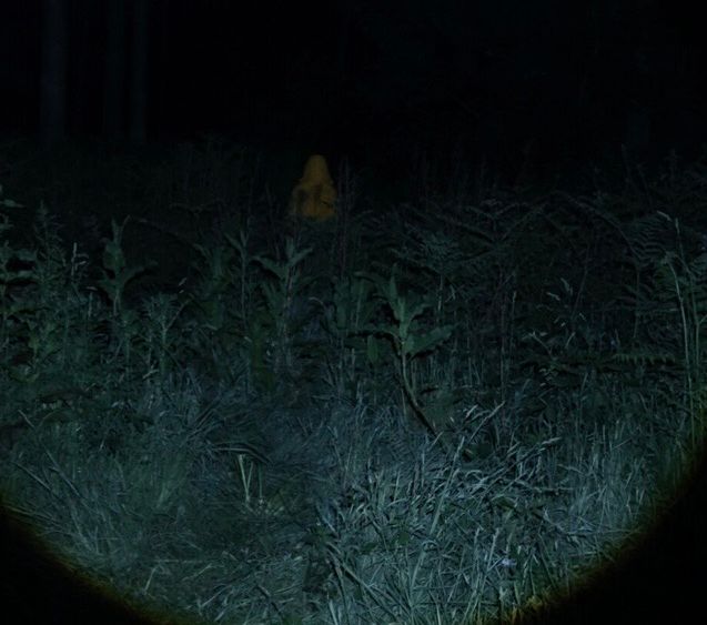 Loner film still 2 