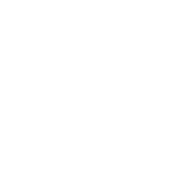 Picturehouse City Screen - Home for Dead Northern 2025, 2024, 2023, 2022, 2021
