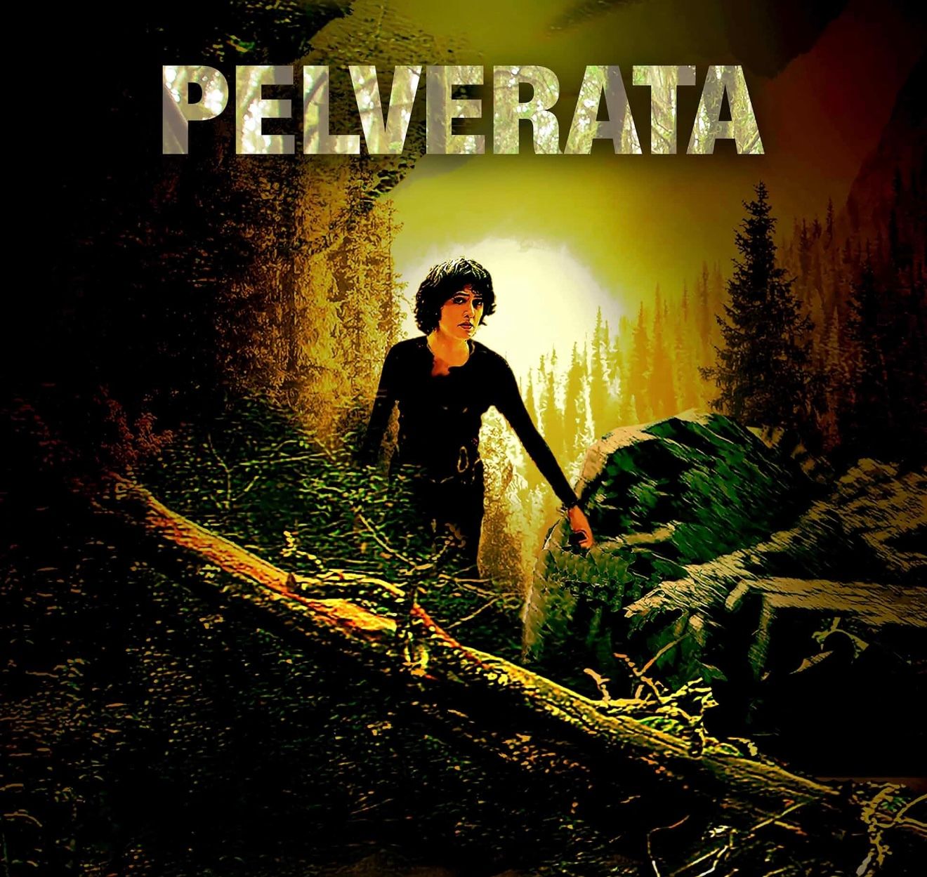 Pelverata film poster 2 