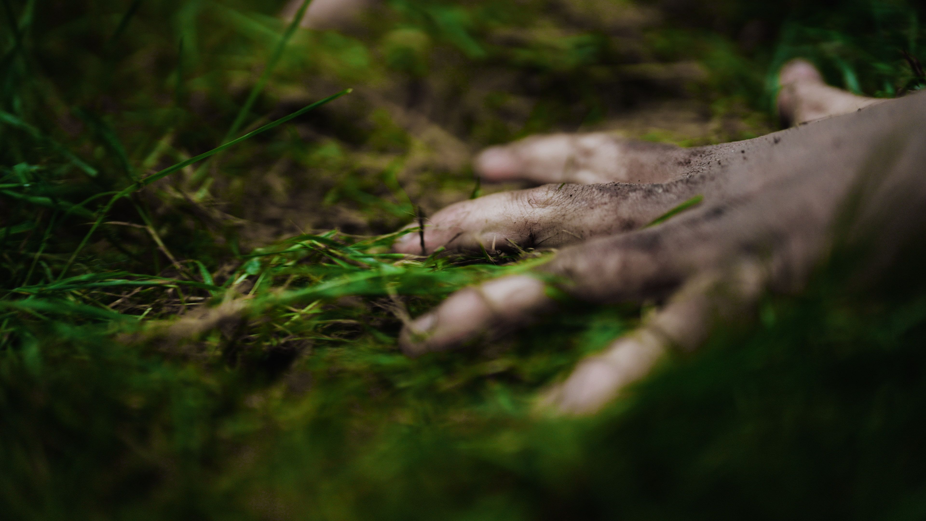 Personal Growth still 3