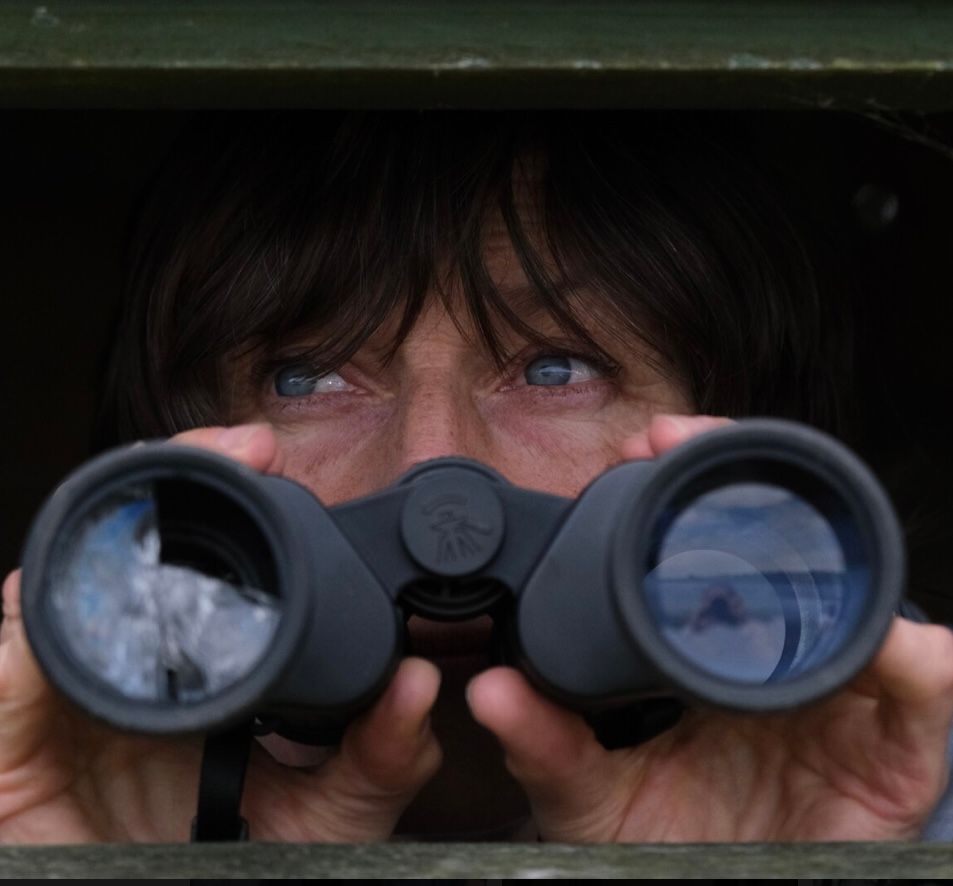 The Birdwatcher poster 