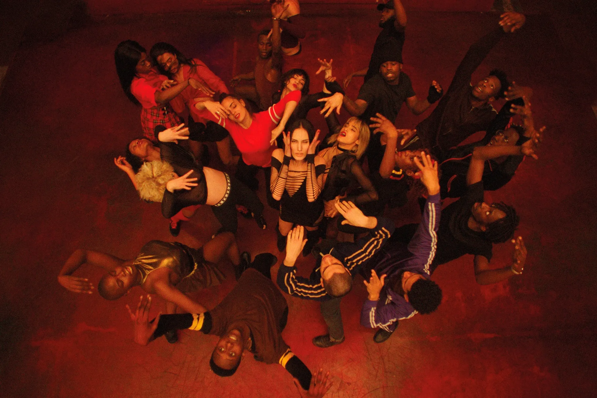 climax-movie-preview.jpg_2022_07.webp
