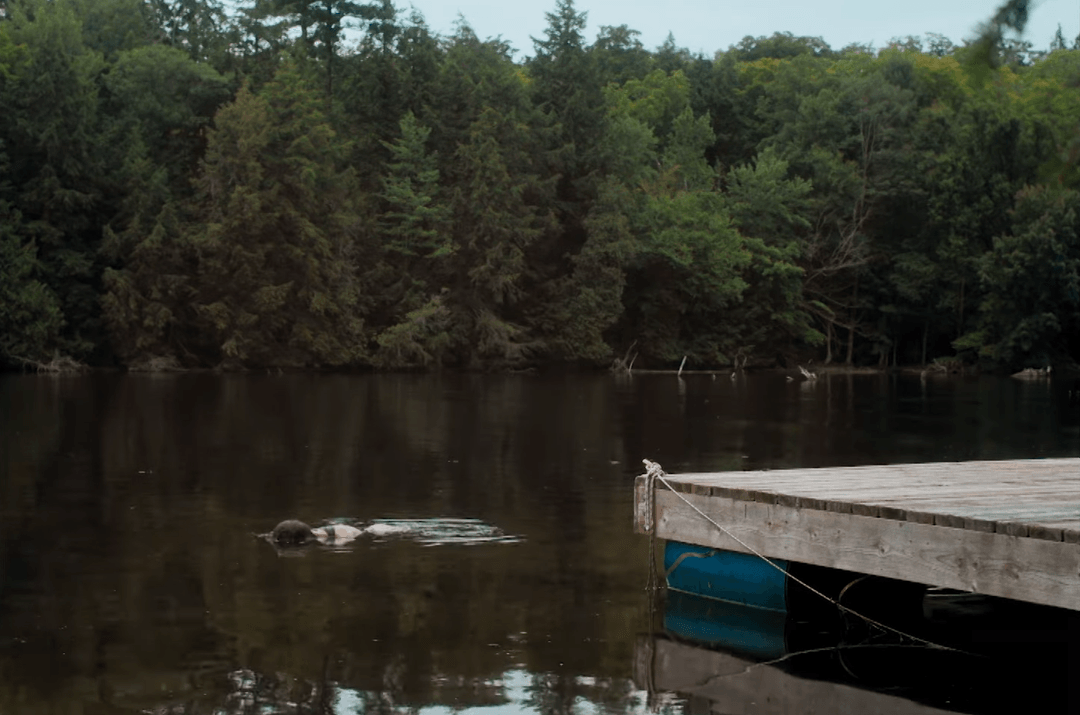 violent-nature-teaser_2024_07.png